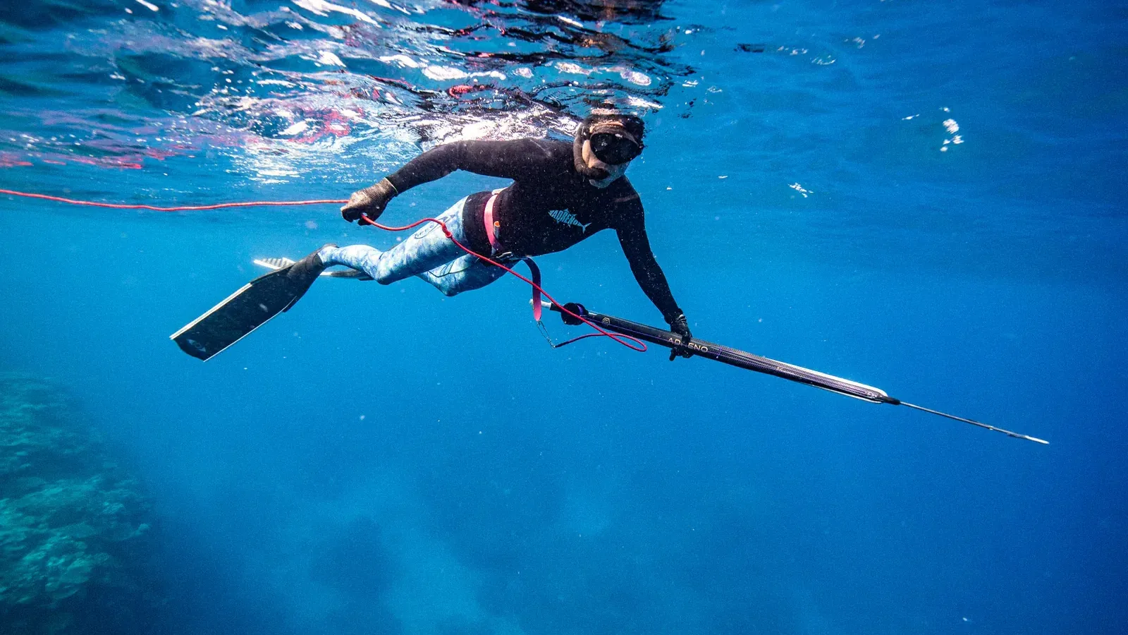Is spearfishing legal in Thailand? The actual rules.