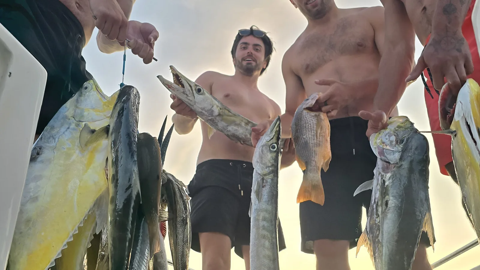 Thailand spearfishing season: when is visibility actually best?